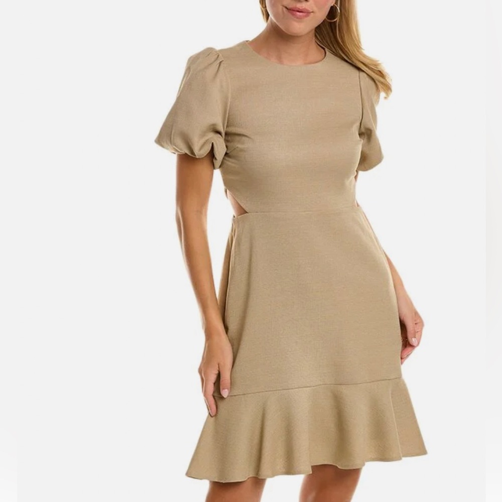 NWT Taylor midi Dress
